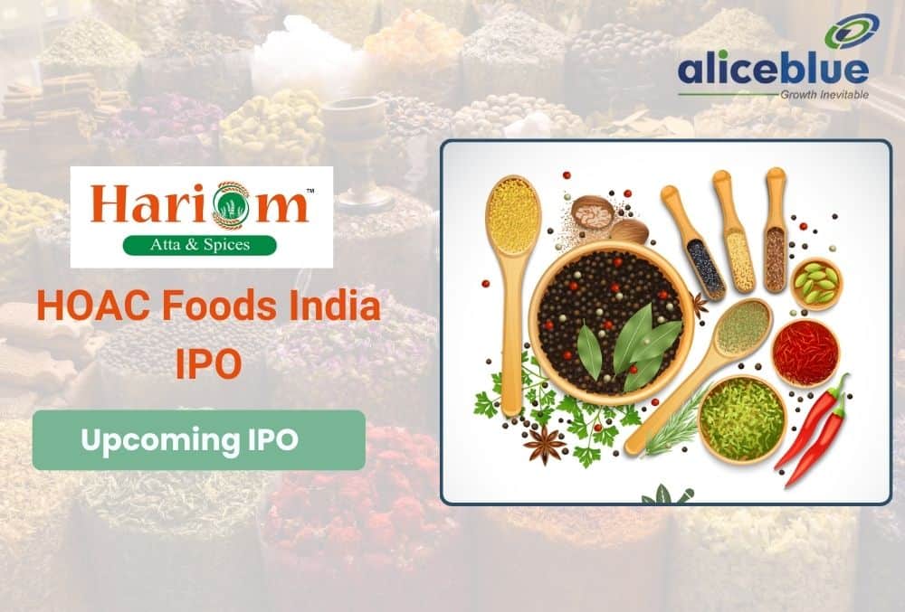 HOAC Foods India Limited IPO GMP Today, Price Range and Company Details 