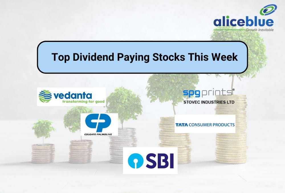 Top Dividend Stocks Announce Major Payouts, SBI and Colgate Lead with High Dividends!