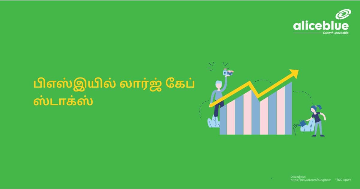 Large Cap Stocks In BSE Tamil