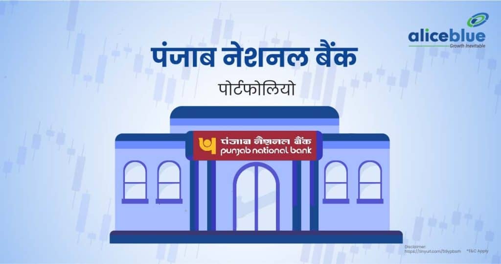 Punjab National Bank's Portfolio Hindi