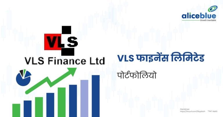 VLS Finance Ltd Portfolio Hindi