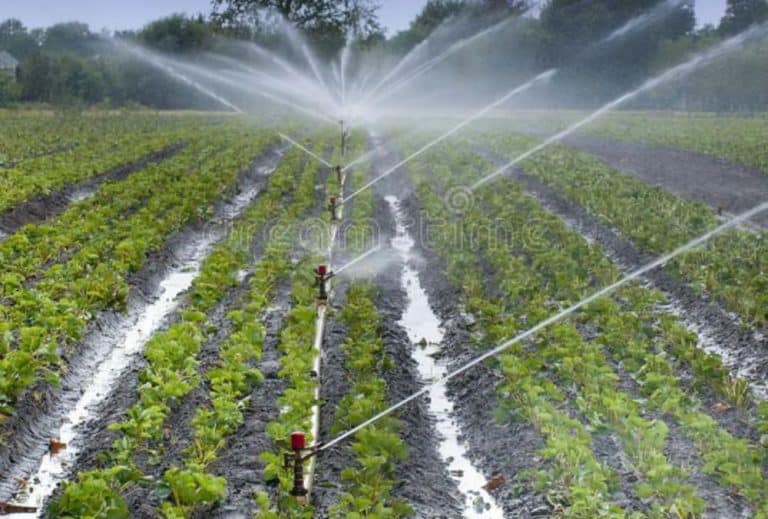 Smallcap stock jumps after it receives order ₹40.7 Cr for water irrigation project